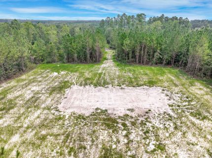Farm Property for sale in Brantley County, Georgia