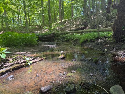 Ranch Property for sale in Oakland County, Michigan