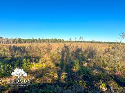Farm Property for sale in Telfair County, Georgia