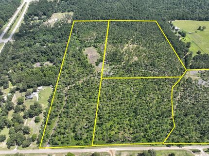Timberland Property for sale in Jasper County, Texas