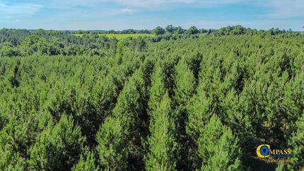 Residential Property for sale in Marion County, Georgia