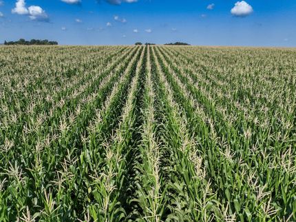 Farm Property for sale in Palo Alto County, Iowa