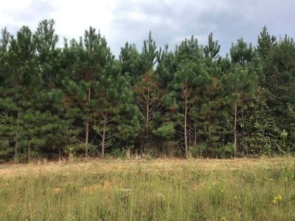 Farm Property for sale in Fayette County, Alabama