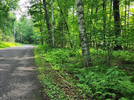 Ranch Property for sale in Forest County, Wisconsin