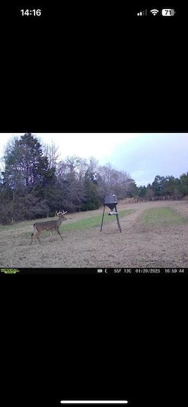 Farm Property for sale in Barbour County, Alabama