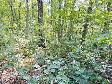Undeveloped Land for sale in Newaygo County, Michigan