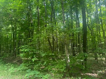 Recreational Property for sale in Antrim County, Michigan