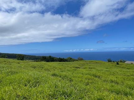 Farm Property for sale in Hawaii County, Hawaii