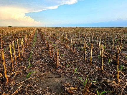 Undeveloped Land for sale in Osborne County, Kansas
