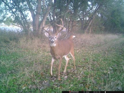 Ranch Property for sale in Madison County, Iowa