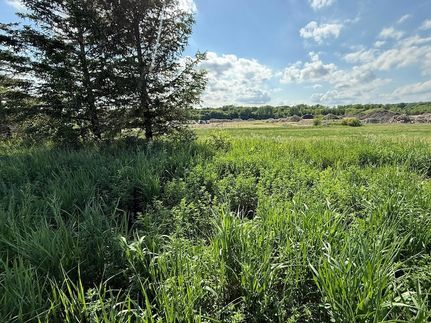 Farm Property for sale in Steele County, Minnesota