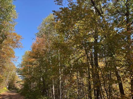 Recreational Property for sale in Hubbard County, Minnesota