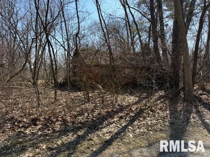 Farm Property for sale in Menard County, Illinois