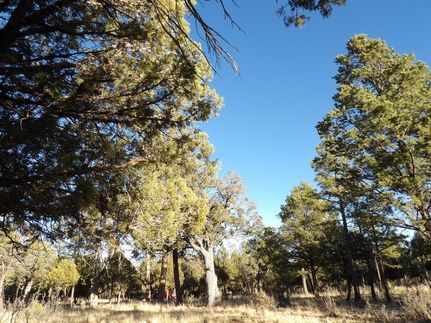 Farm Property for sale in Coconino County, Arizona