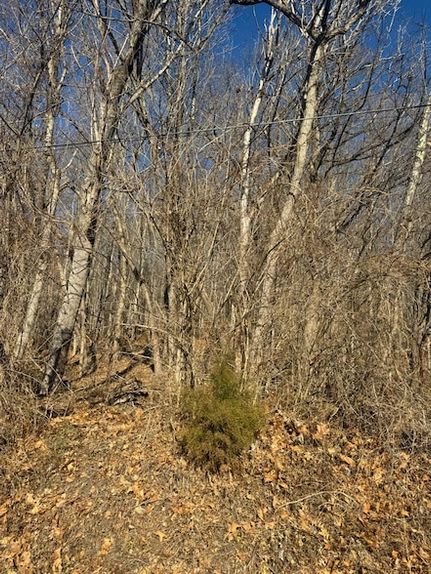 Timberland Property for sale in Mercer County, West Virginia