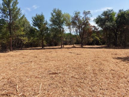 Timberland Property for sale in Bosque County, Texas