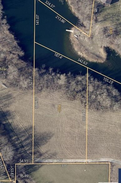 Undeveloped Land for sale in Vermilion County, Illinois
