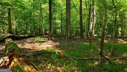 Ranch Property for sale in Gwinnett County, Georgia