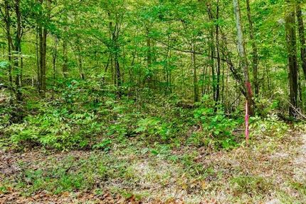 Farm Property for sale in Pickett County, Tennessee