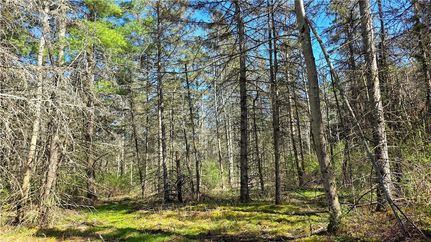 Recreational Property for sale in Tompkins County, New York