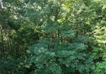 Undeveloped Land for sale in Cass County, Michigan