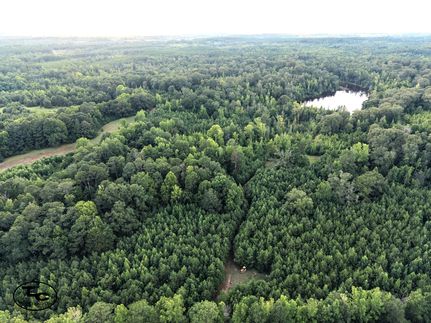 Timberland Property for sale in Marengo County, Alabama
