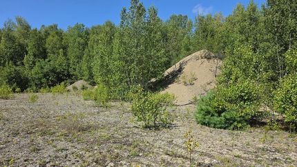 Farm Property for sale in Washington County, Maine