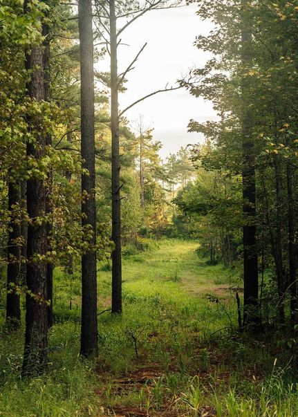 Ranch Property for sale in Carroll County, Mississippi