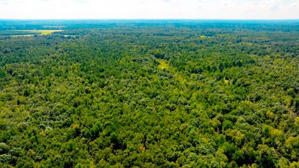 Ranch Property for sale in Burke County, Georgia