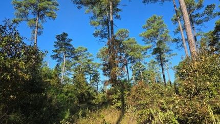 Farm Property for sale in Hot Spring County, Arkansas