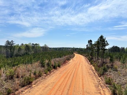 Timberland Property for sale in Clarke County, Mississippi