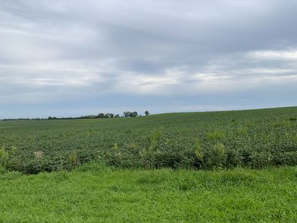 Farm Property for sale in Antelope County, Nebraska