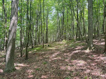 Hunting Land for sale in Warren County, Pennsylvania