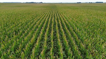 Farm Property for sale in Menard County, Illinois