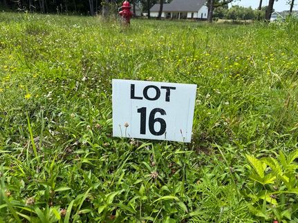 Timberland Property for sale in Graves County, Kentucky