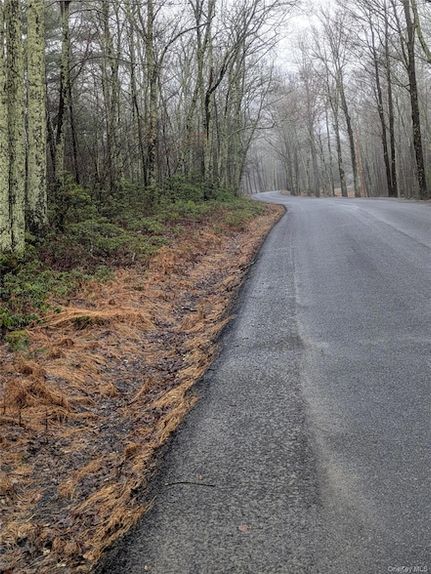 Ranch Property for sale in Ulster County, New York
