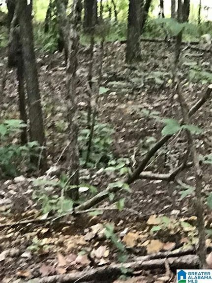 Farm Property for sale in Talladega County, Alabama