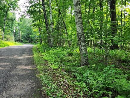 Recreational Property for sale in Forest County, Wisconsin