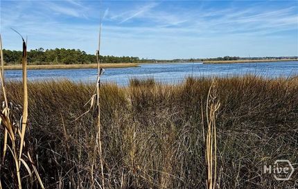 Farm Property for sale in Liberty County, Georgia
