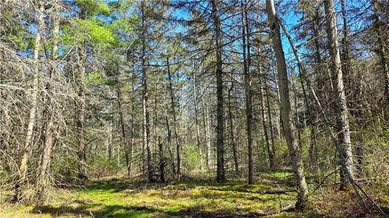 Undeveloped Land for sale in Tompkins County, New York