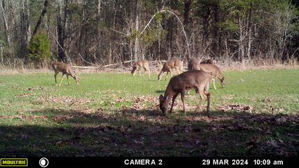 Farm Property for sale in Warren County, Missouri