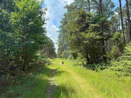 Farm Property for sale in Suffolk City County, Virginia