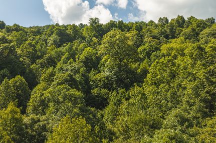 Farm Property for sale in Claiborne County, Tennessee