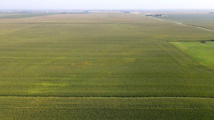 Farm Property for sale in Dallas County, Iowa