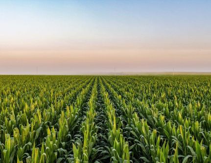 Recreational Property for sale in Greene County, Iowa