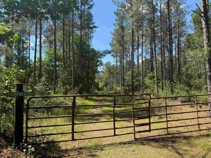 Residential Property for sale in Surry County, Virginia