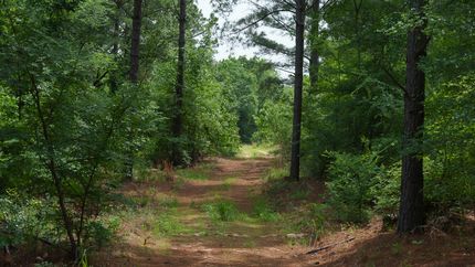 Hunting Land for sale in Van Zandt County, Texas