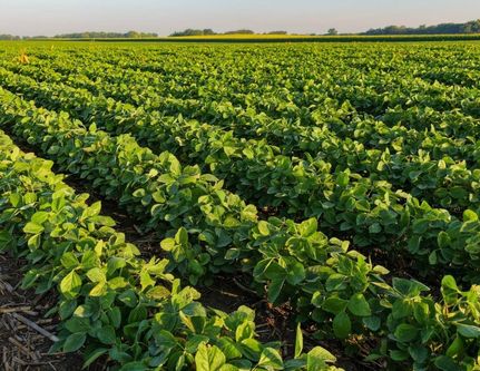 Farm Property for sale in Greene County, Iowa