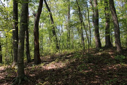 Farm Property for sale in Frederick County, Virginia
