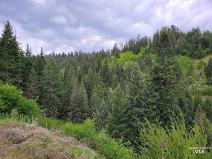 Undeveloped Land for sale in Idaho County, Idaho